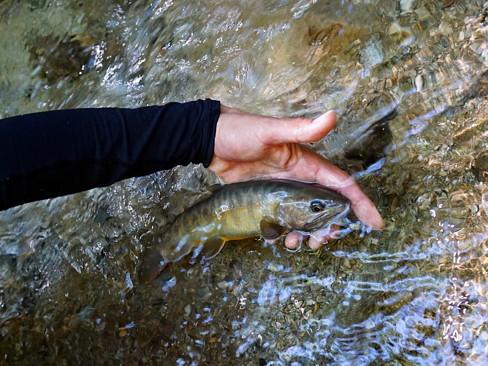c0339900_14553274.jpg