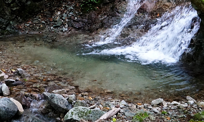 c0339900_16315346.jpg