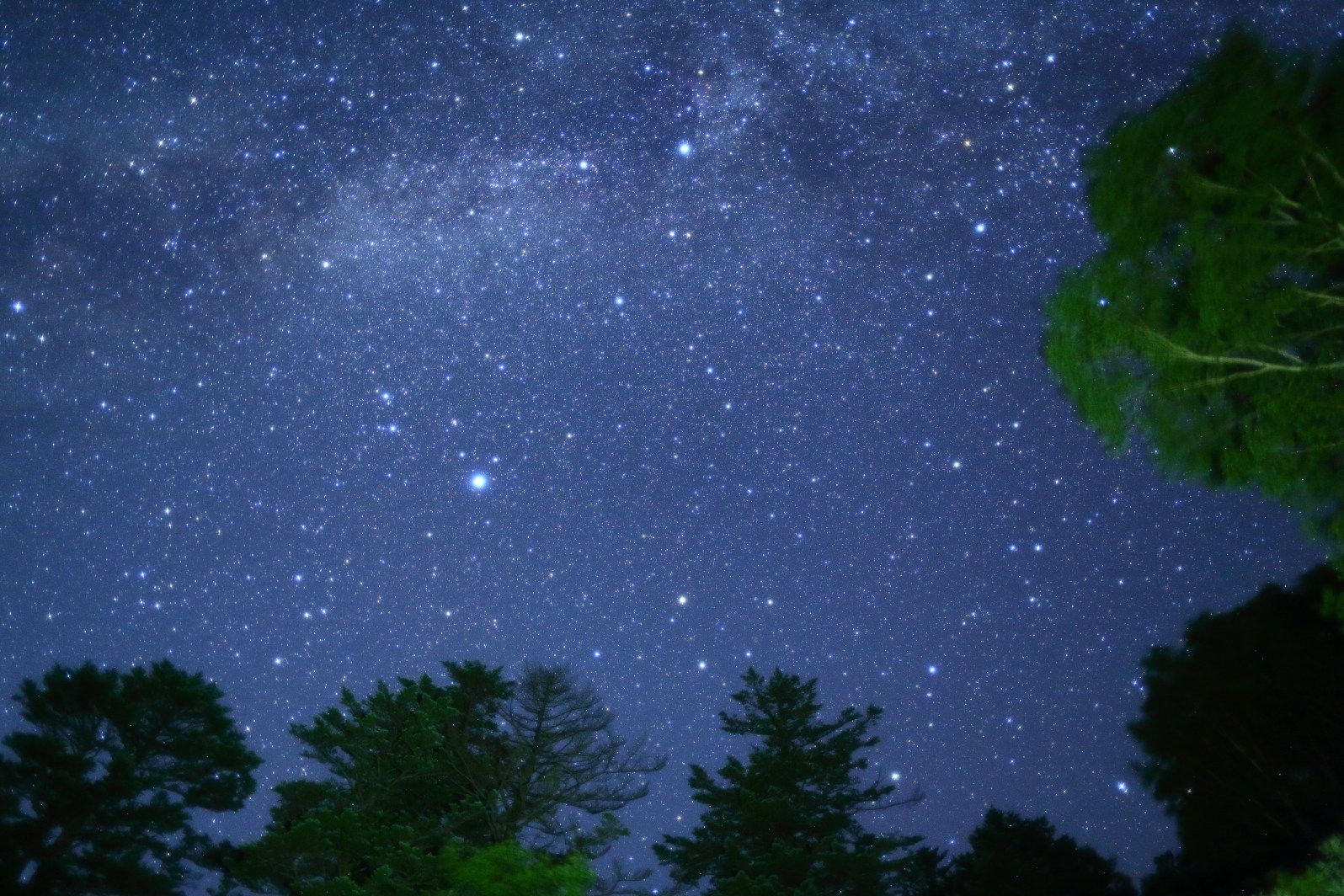 a0155104_16285699.jpg