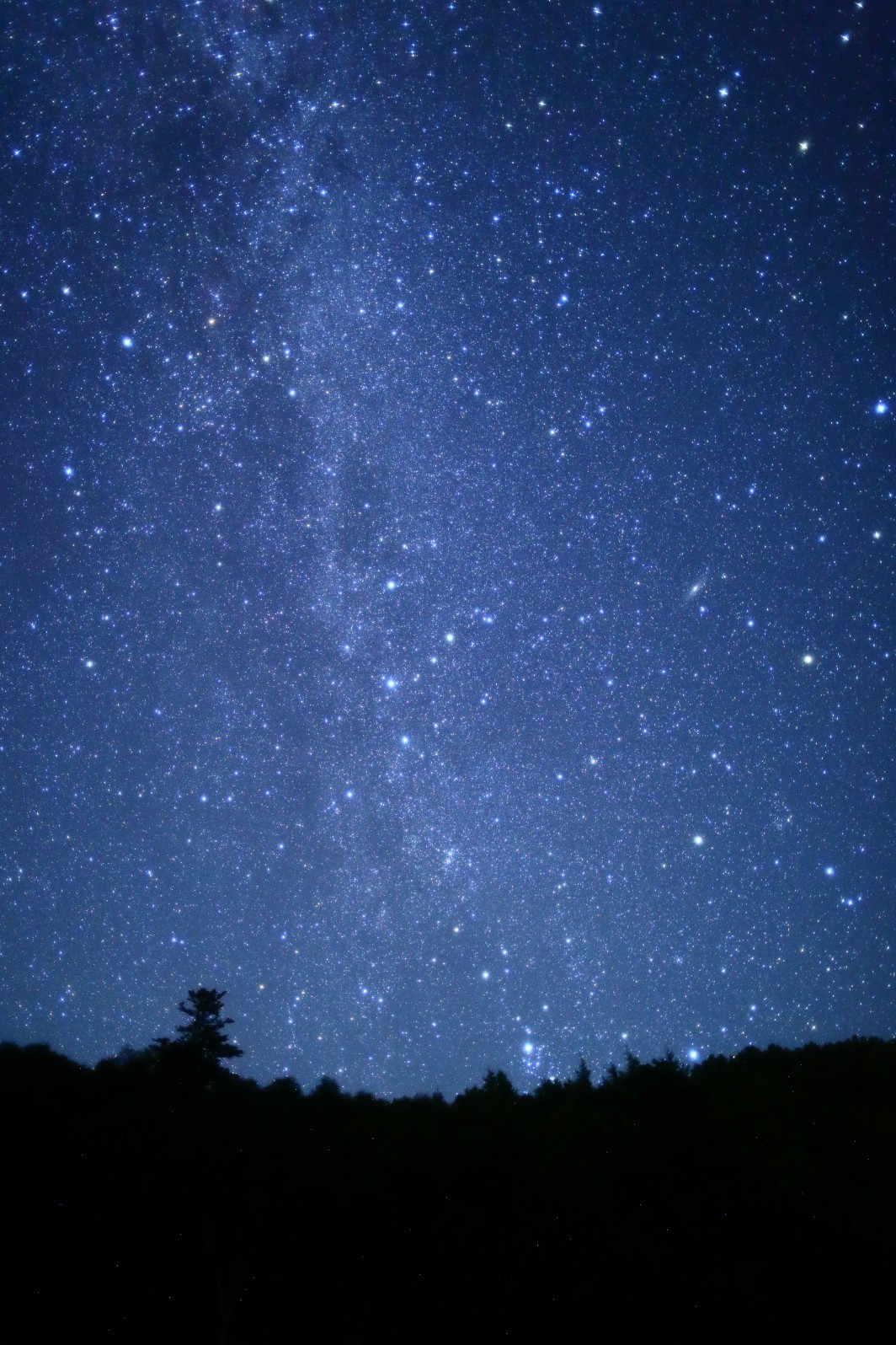a0155104_16290256.jpg