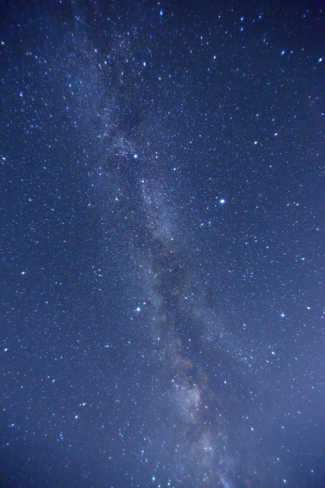 a0155104_16293151.jpg