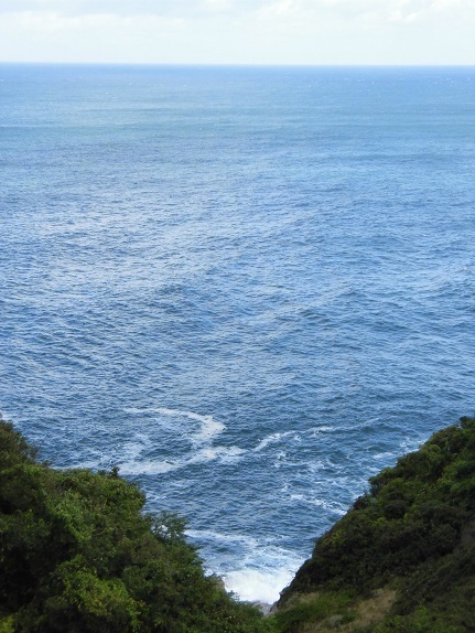 e0078404_10504931.jpg
