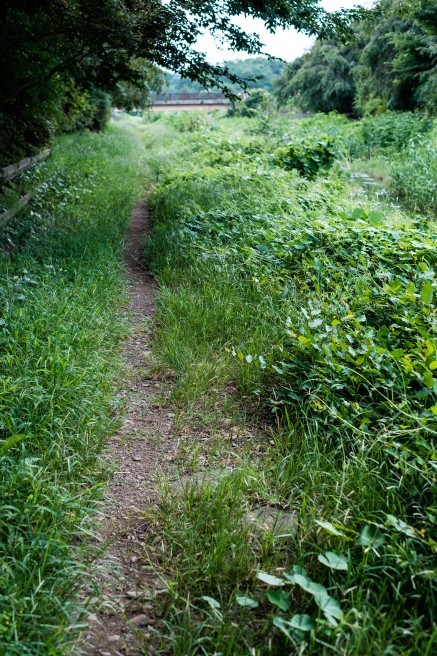f0302208_12015309.jpg