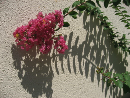 c0062511_07504381.jpg