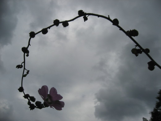 c0062511_19463666.jpg