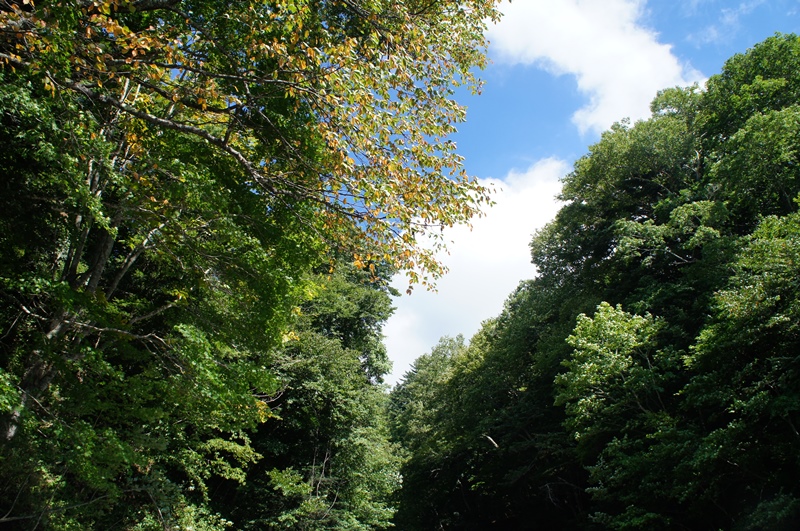 e0165011_221851100.jpg