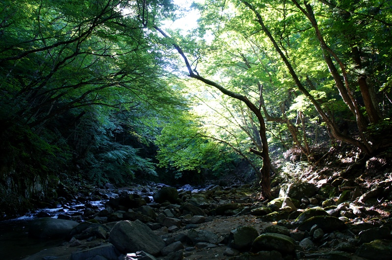 e0165011_22205490.jpg