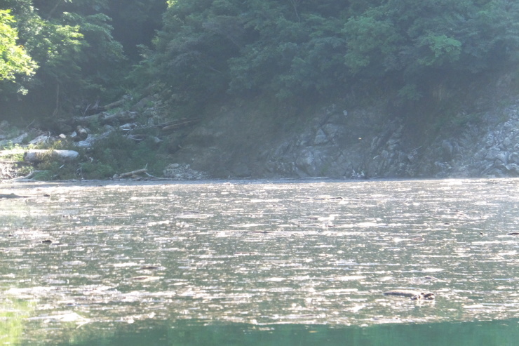 c0232813_14555218.jpg