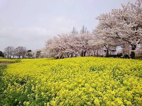 c0084117_1944975.jpg