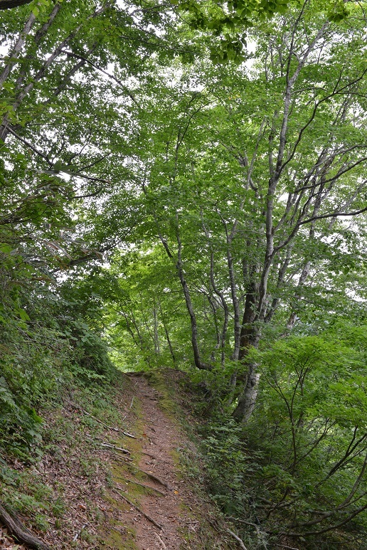 e0349817_21015851.jpg