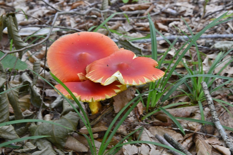 e0349817_21022513.jpg