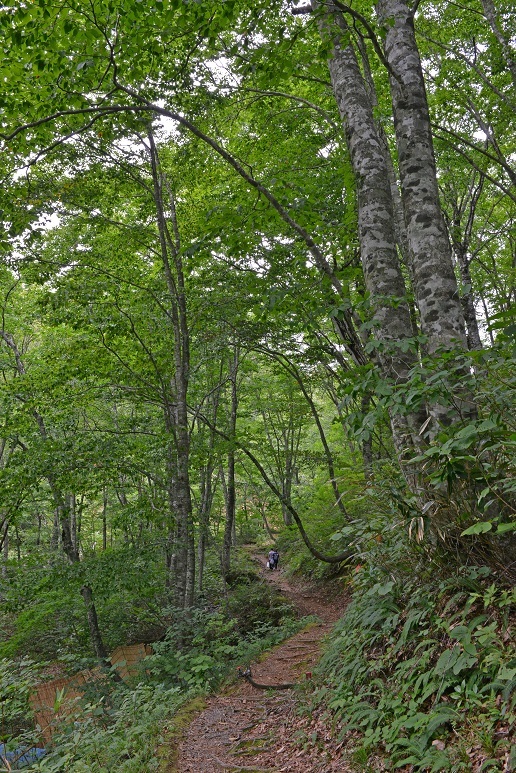 e0349817_21023376.jpg