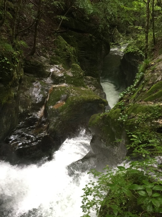 b0037220_19262061.jpg