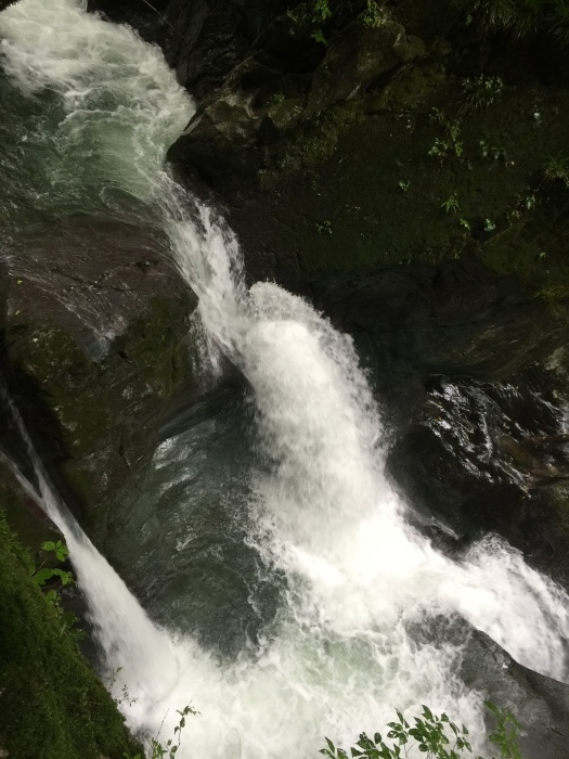 b0037220_19274205.jpg