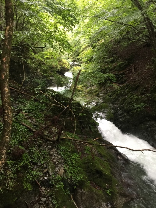 b0037220_19282103.jpg