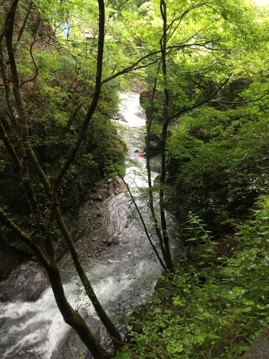 b0037220_19294915.jpg