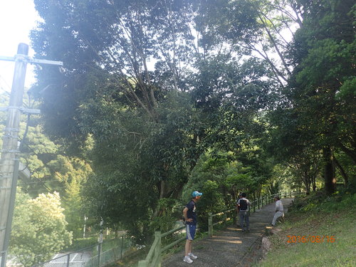 e0138321_1211188.jpg