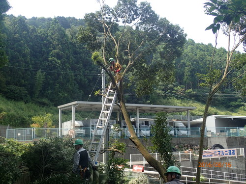 e0138321_124429.jpg