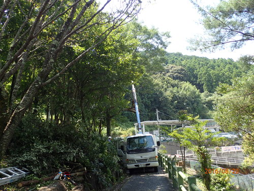 e0138321_1351256.jpg