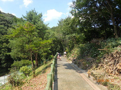 e0138321_138341.jpg