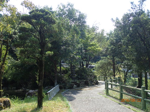e0138321_1391257.jpg