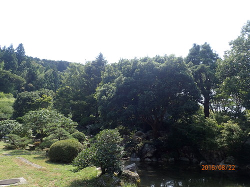 e0138321_1394258.jpg