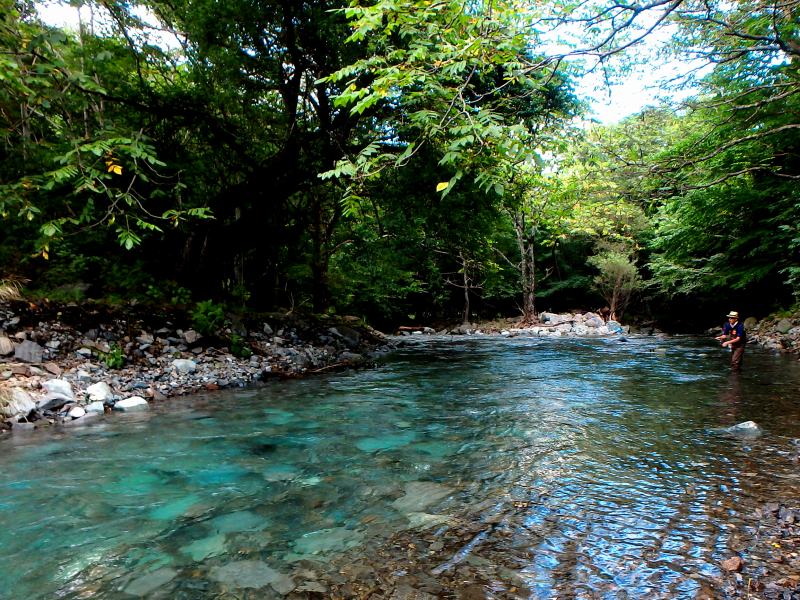 d0091323_154627.jpg