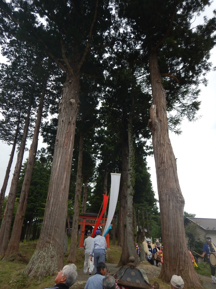 c0111229_194389.jpg
