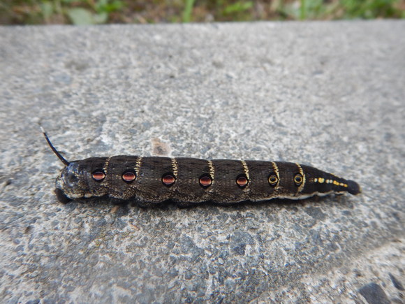 f0118332_2201912.jpg