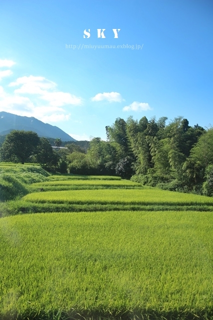 d0173942_21094395.jpg