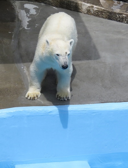f0002743_11213799.jpg