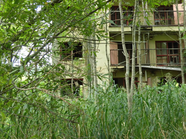 e0196244_18273697.jpg