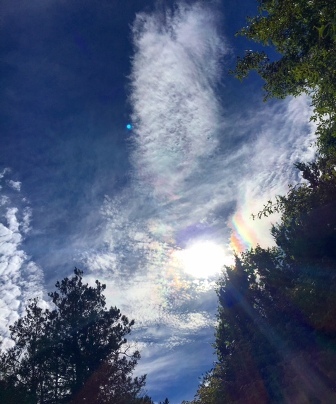 b0173754_13301411.jpg