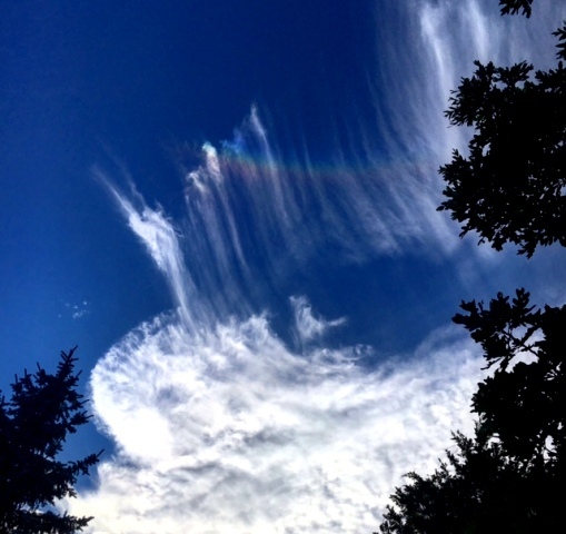 b0173754_13321382.jpg