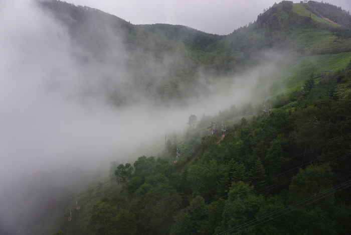 d0152261_23413217.jpg
