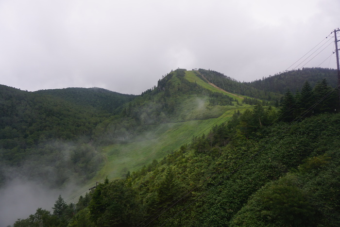 d0152261_23432829.jpg