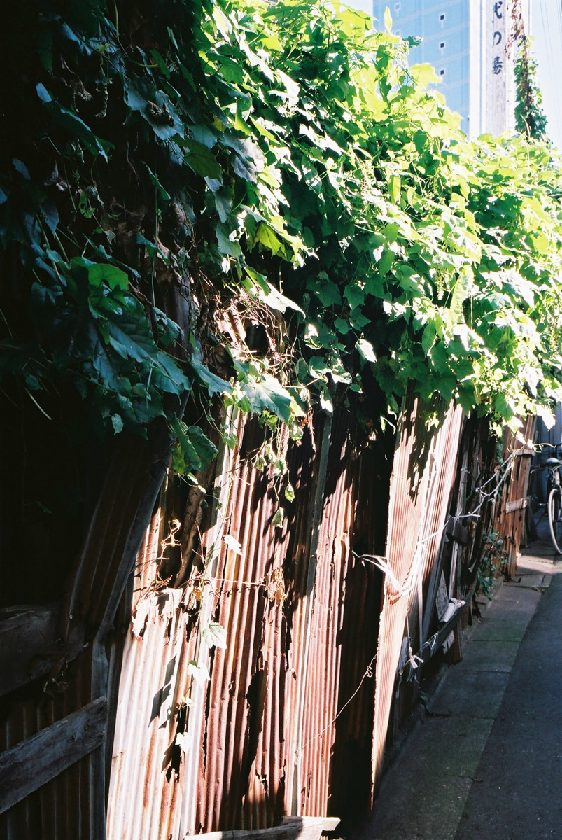 c0084666_23142136.jpg