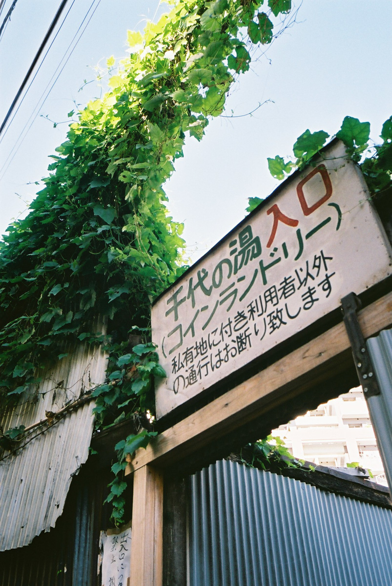 c0084666_23142221.jpg