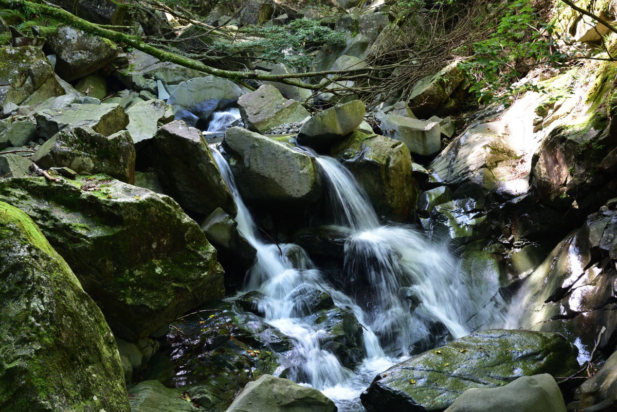 b0346568_16210059.jpg