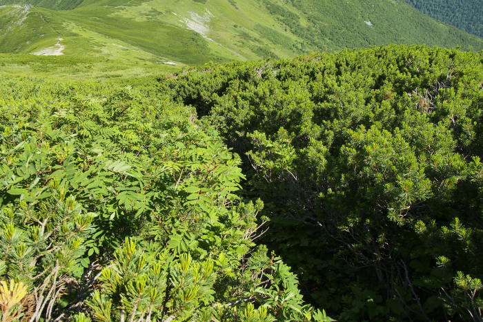 e0307372_22174166.jpg