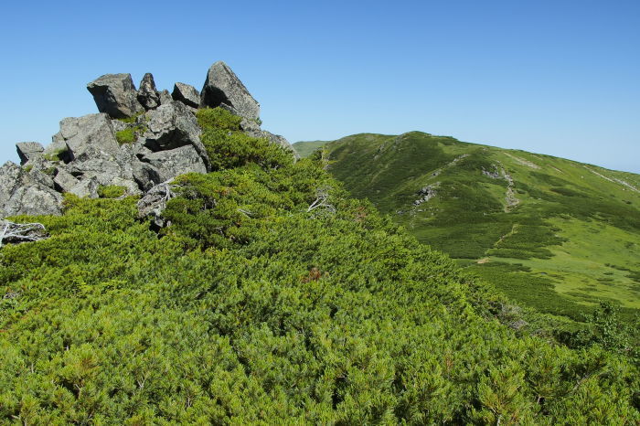 e0307372_22421775.jpg