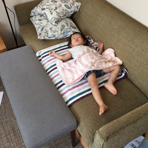 d0041575_20242405.jpeg