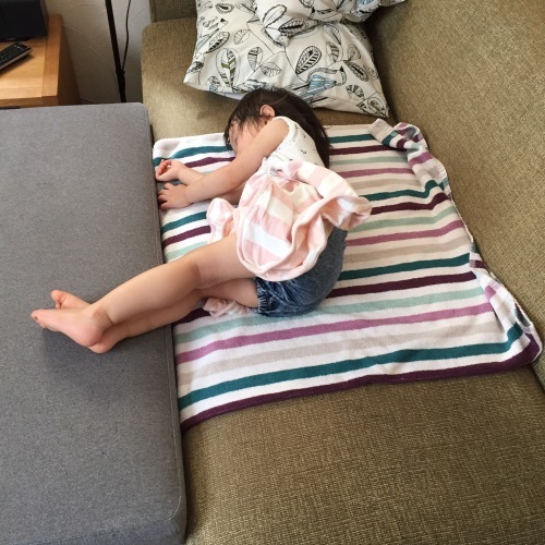 d0041575_20250371.jpeg