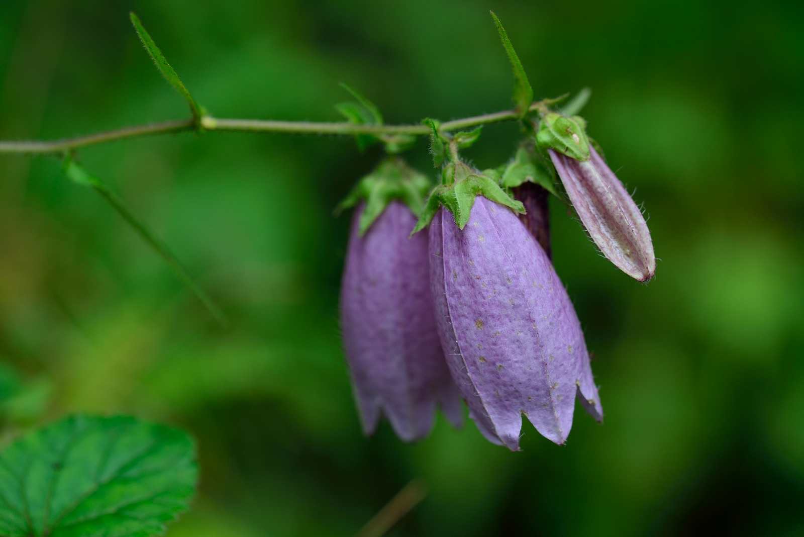 d0328977_00004771.jpg