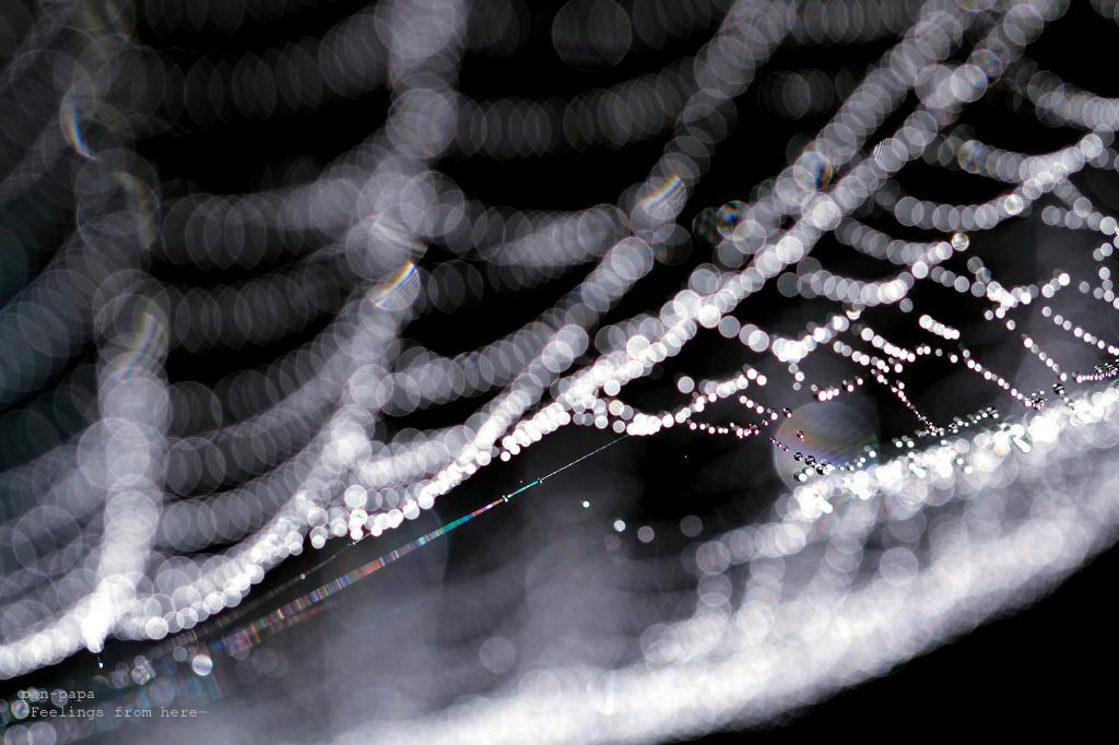 c0356480_21554706.jpg