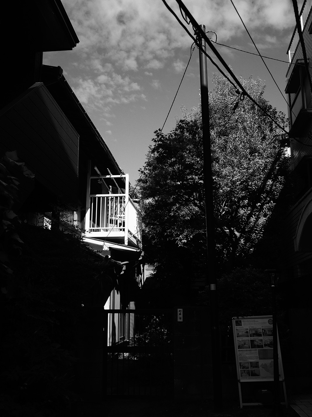 f0121181_514068.jpg