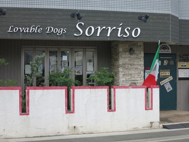 f0169884_13235770.jpg
