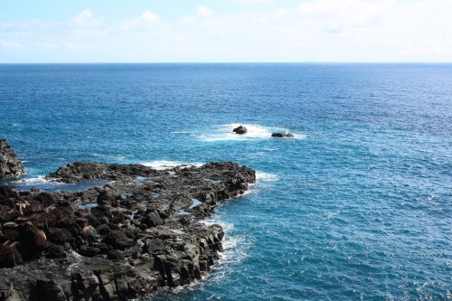 c0204385_23203243.jpg