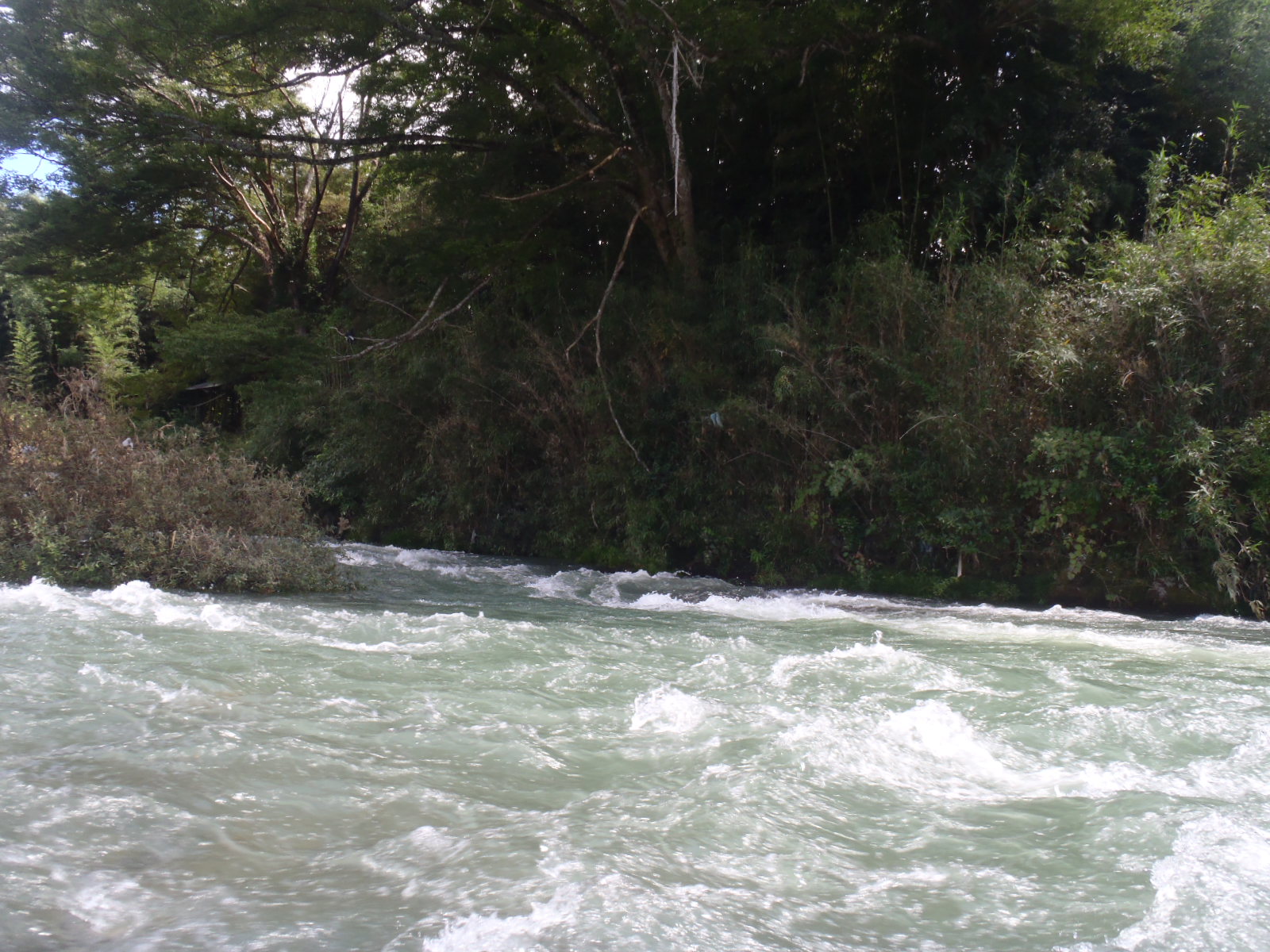 b0139489_21491599.jpg