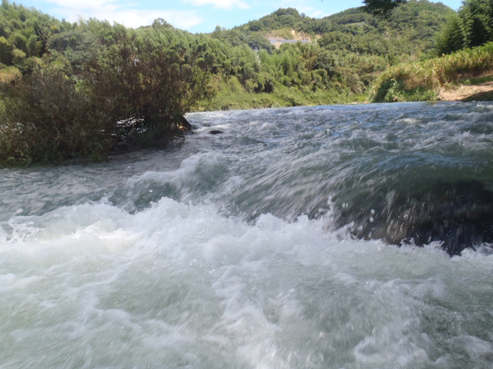 b0139489_21492984.jpg